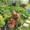 Юлия, 63, г.Котлас Юлия, 63, г.Котлас