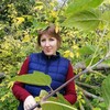 катерина, 30, г.Саранск катерина, 30, г.Саранск