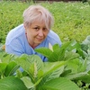 Любовь, 51, г.Кимры Любовь, 51, г.Кимры