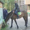 Наталья, 33, г.Новочебоксарск Наталья, 33, г.Новочебоксарск
