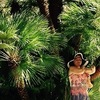 Тамара, 70, г.Обухово Тамара, 70, г.Обухово