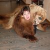 Елена, 40, г.Новосокольники Елена, 40, г.Новосокольники