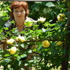 валентина, 65, г.Акимовка валентина, 65, г.Акимовка