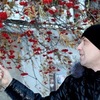 Александр, 33, г.Нижний Тагил Александр, 33, г.Нижний Тагил