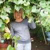 Наталья, 51, г.Молодечно Наталья, 51, г.Молодечно