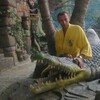 МИШАНЯ, 40, г.Синельниково МИШАНЯ, 40, г.Синельниково