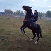 Ермек, 24, г.Талдыкорган Ермек, 24, г.Талдыкорган