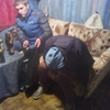 Игорь, 22, г.Мышкин Игорь, 22, г.Мышкин