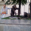 Серафим86, 31, г.Сарапул Серафим86, 31, г.Сарапул