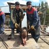 ВИТАЛИЙ, 35, г.Усть-Илимск ВИТАЛИЙ, 35, г.Усть-Илимск