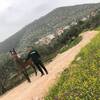 Fares, 23, г.Хайфа Fares, 23, г.Хайфа