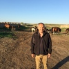 bektur, 57, г.Штутгарт bektur, 57, г.Штутгарт