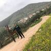 Fares, 24, г.Хайфа Fares, 24, г.Хайфа
