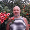 Юрий, 55, г.Оленегорск Юрий, 55, г.Оленегорск