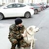 Алим, 38, г.Великий Новгород (Новгород) Алим, 38, г.Великий Новгород (Новгород)
